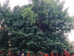 -终南山古楼观历史文化景区