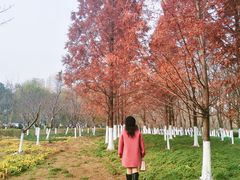 -白塘生态植物园