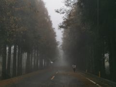 -山王坪喀斯特国家生态公园