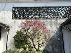 -上海鲁迅故居
