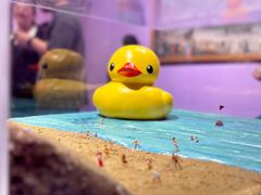 -上海宝龙美术馆