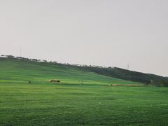 景点-三寰牧场