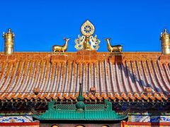 -大召无量寺