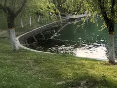 -天鹅湖体育公园
