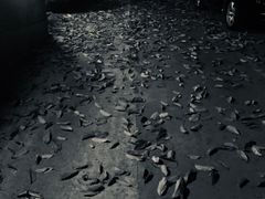 -奎星楼街