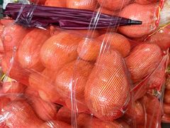 -深圳市海吉星国际农产品物流管理有限公司