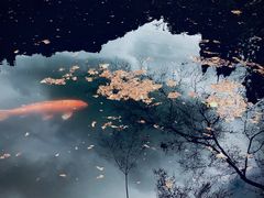 -醍醐寺