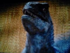 凯狮国际影城-佳兆业国际影城(鞍山店)