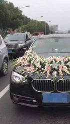 -蚂蚁婚车