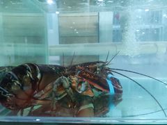 -雅逸居海鲜小厨