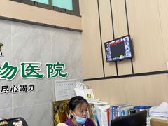-半岛宠物医院24小时(科华中路店)