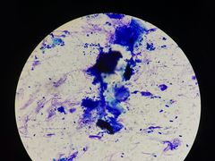 -太原东方动物医院(小店分院)