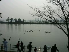 -艾溪湖湿地公园