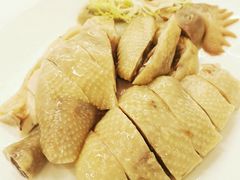 -渔意楼·驰名沙田乳鸽(五羊店)