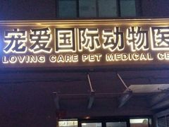 -宠爱国际动物医院·疑难骨科·心肾内科·皮肤科(太阳宫店)
