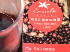 瑰夏-豆舞咖啡(民乐路店)