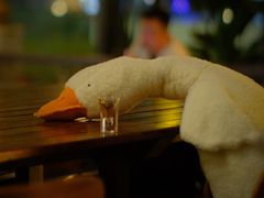 -跳海酒馆(江湾里店)