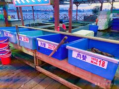 -旗鱼海番村(Orang Asli)