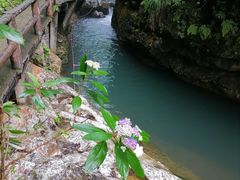 -华蓥山天意谷景区
