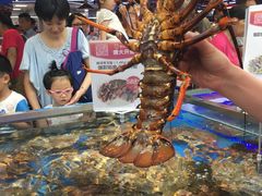 -盒马鲜生(大成店)