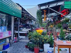 -曲阳花鸟市场(曲阳路店)