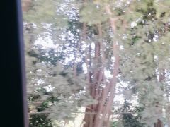 -南宁花花大世界景区
