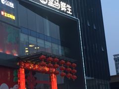 -盒马鲜生(莱蒙都会店)