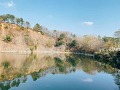 -王借岗森林公园