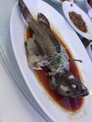 -曼格纳婚礼艺术中心(张江店)