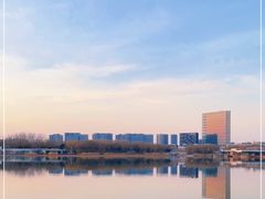 -大兴滨河森林公园