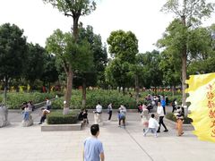 -仙岳公园