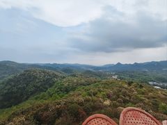 -贵州百里杜鹃风景名胜区
