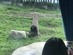 -西安秦岭野生动物园