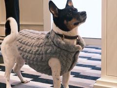 -MONCLER(北京SKP概念店)