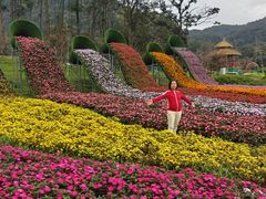 -广州市石门国家森林公园
