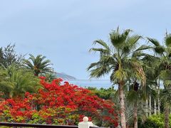 -大堂酒廊·亚龙湾万豪度假酒店