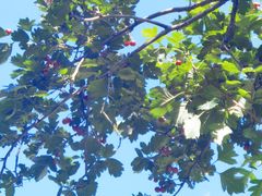 -长春公园(普阳街道)