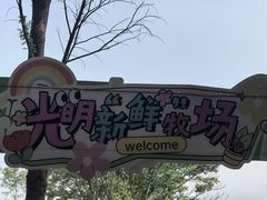 -光明牧业有限公司金山种奶牛场