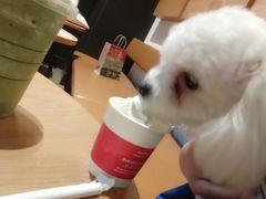 -星巴克(天津鲁能中心第三店)