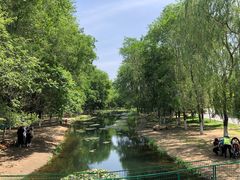 -长白岛森林公园