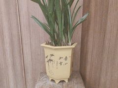 -顺风汤馆·广府粤菜(江宸天街店)