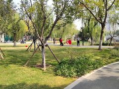 -咸阳湖景区-古渡公园