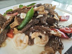 -山菌美食苑(振兴路店)