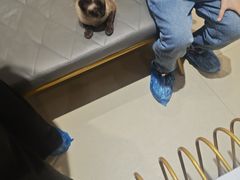 -藏猫猫咖啡主题馆(中央大道店)