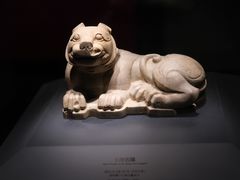 -徐州博物馆