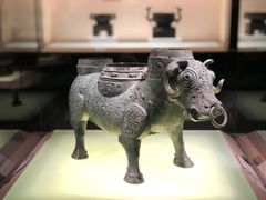 -上海博物馆(人民广场馆)