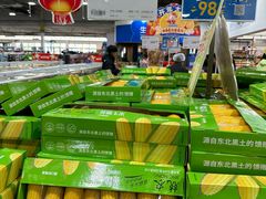 -麦德龙(郑东店)