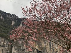 -咸丰县唐崖河景区