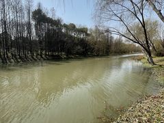 -自然谷恐龙园