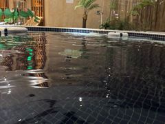 -鸿泰洋美食水会(东门中店)